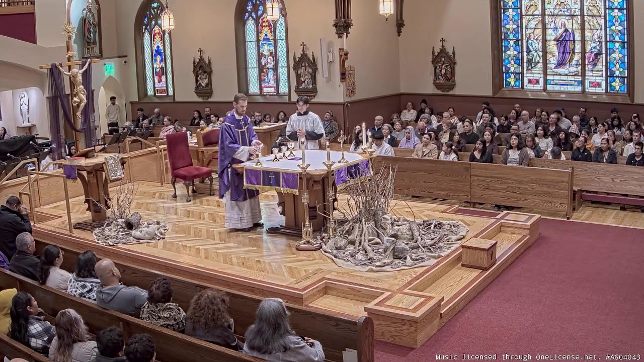 Video 2026-03-01 8:52 AM