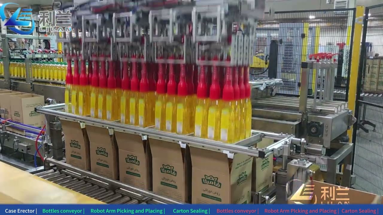Robot case packer for edible oil bottle.