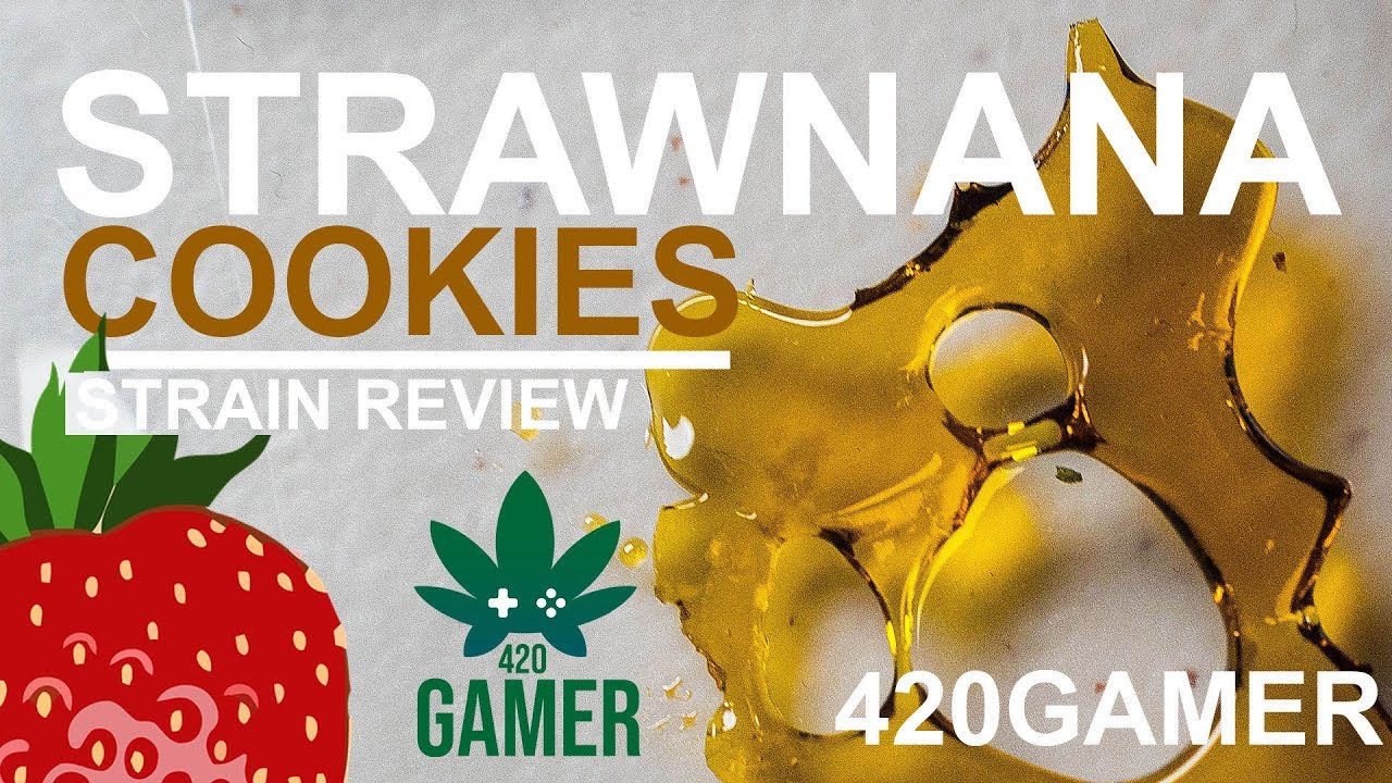 Strawnana Cookies Strain Review 🍓🍪- Shatter - Quail Extracts #weedtube