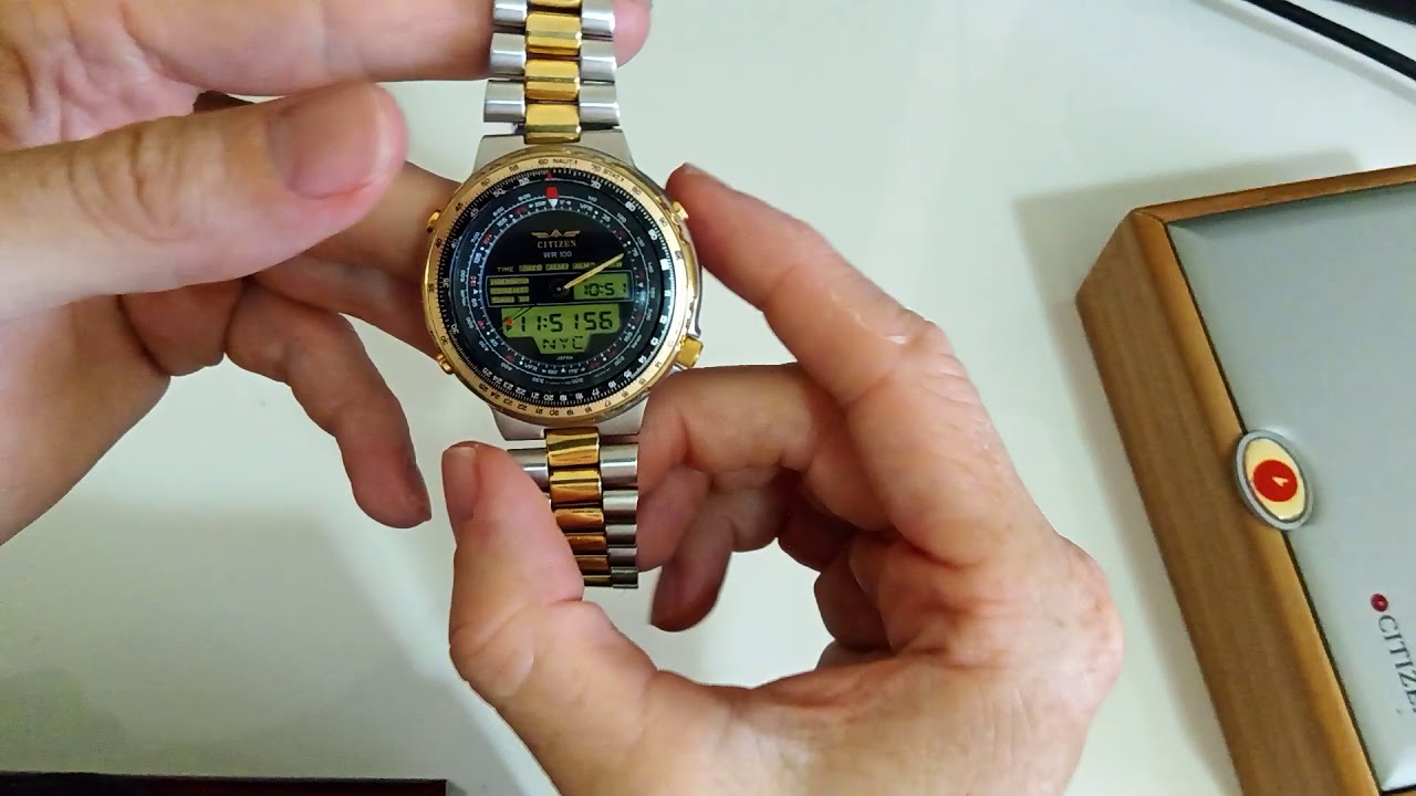 Citizen Wingman Review C080-088506