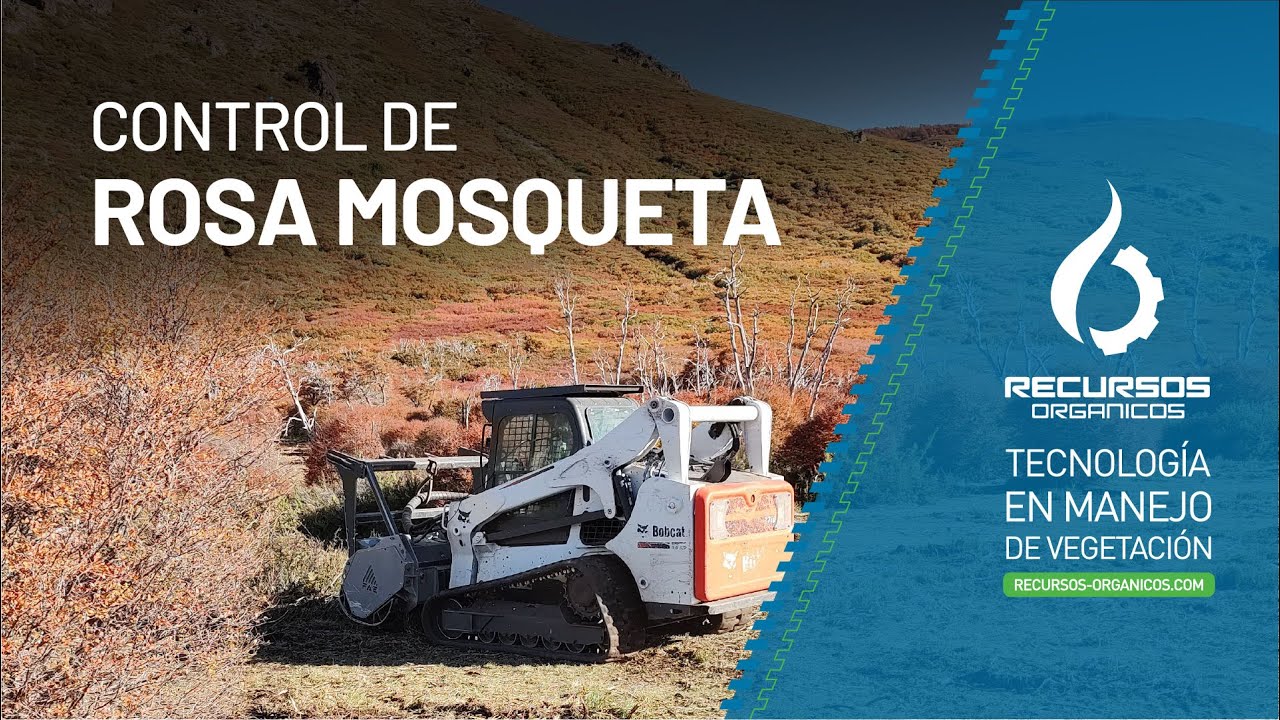 Control de Rosa Mosqueta