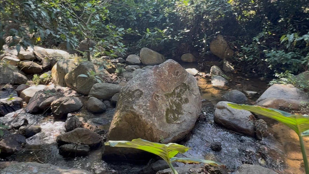 Aquí, mostrándole un poquito de lo que hacemos ￼