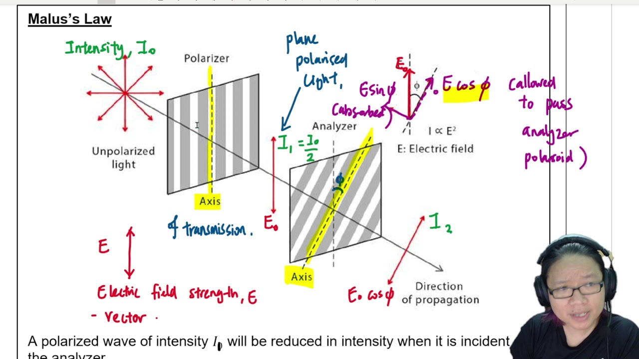 7.4b Malus Law: Polarization and Intensity | AS Waves | Cambridge A Level Physics