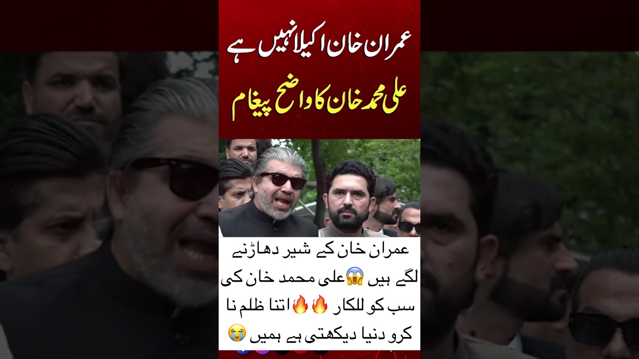 Ali Muhammad khan PTI tiger speach 🔥😱| ali Muhammad khan with Imran khan | PTI announced jalsa