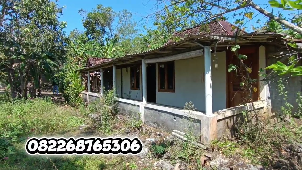 Dijual tanah plus rumah limasan berbonus sumur dan listrik ✅ #dijual SHMp 997m²