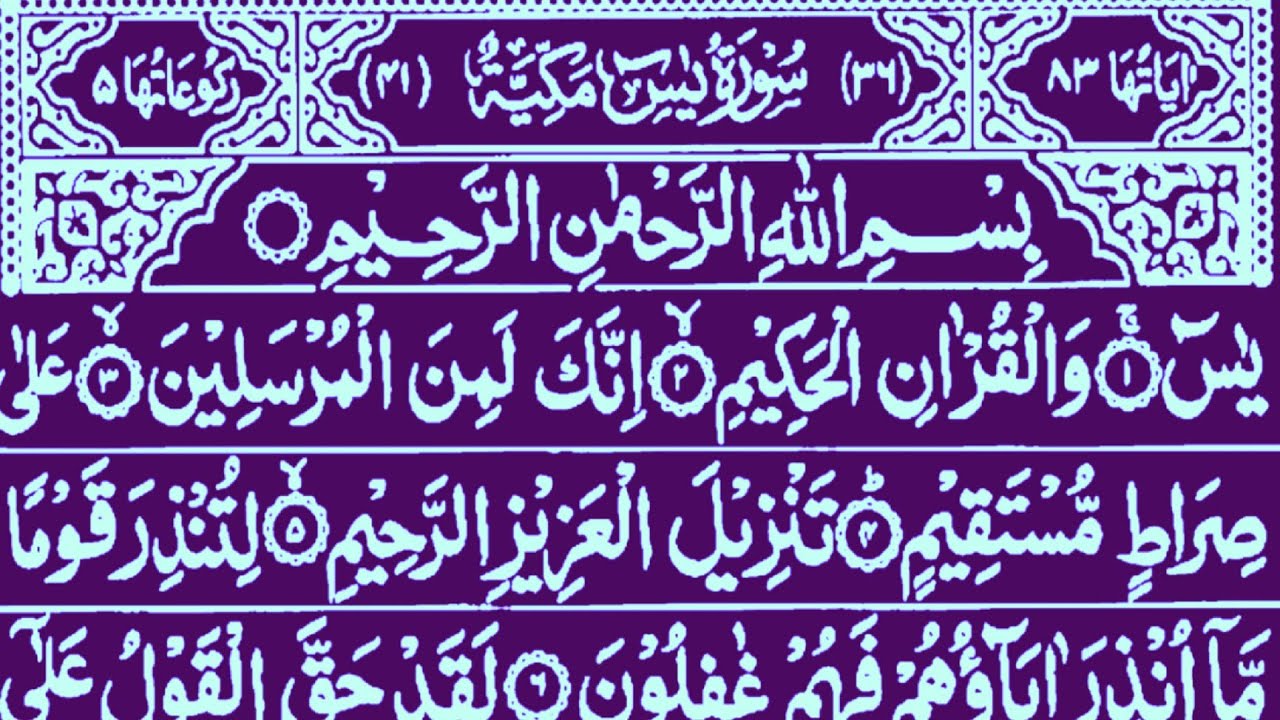 Surah Yaseen reaction || Surah Rahman tilawat || beautiful quran reaction #yaseenrecitation