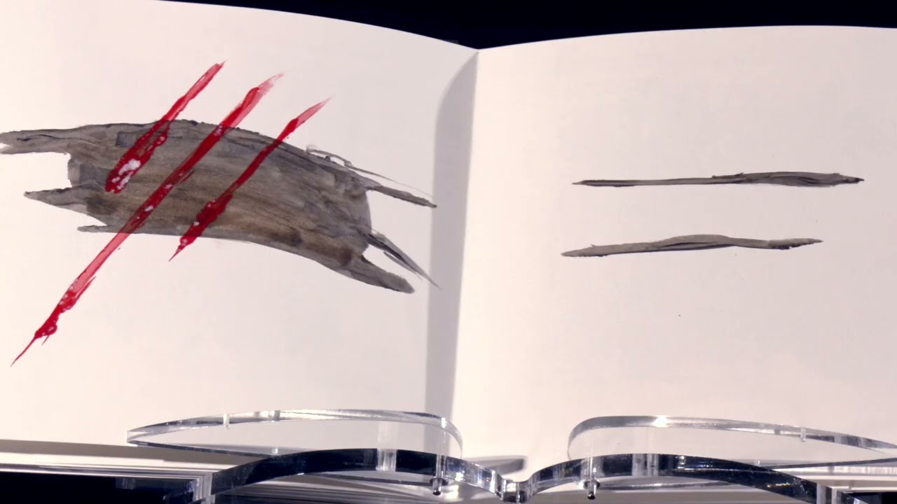 Livres d'artistes : 