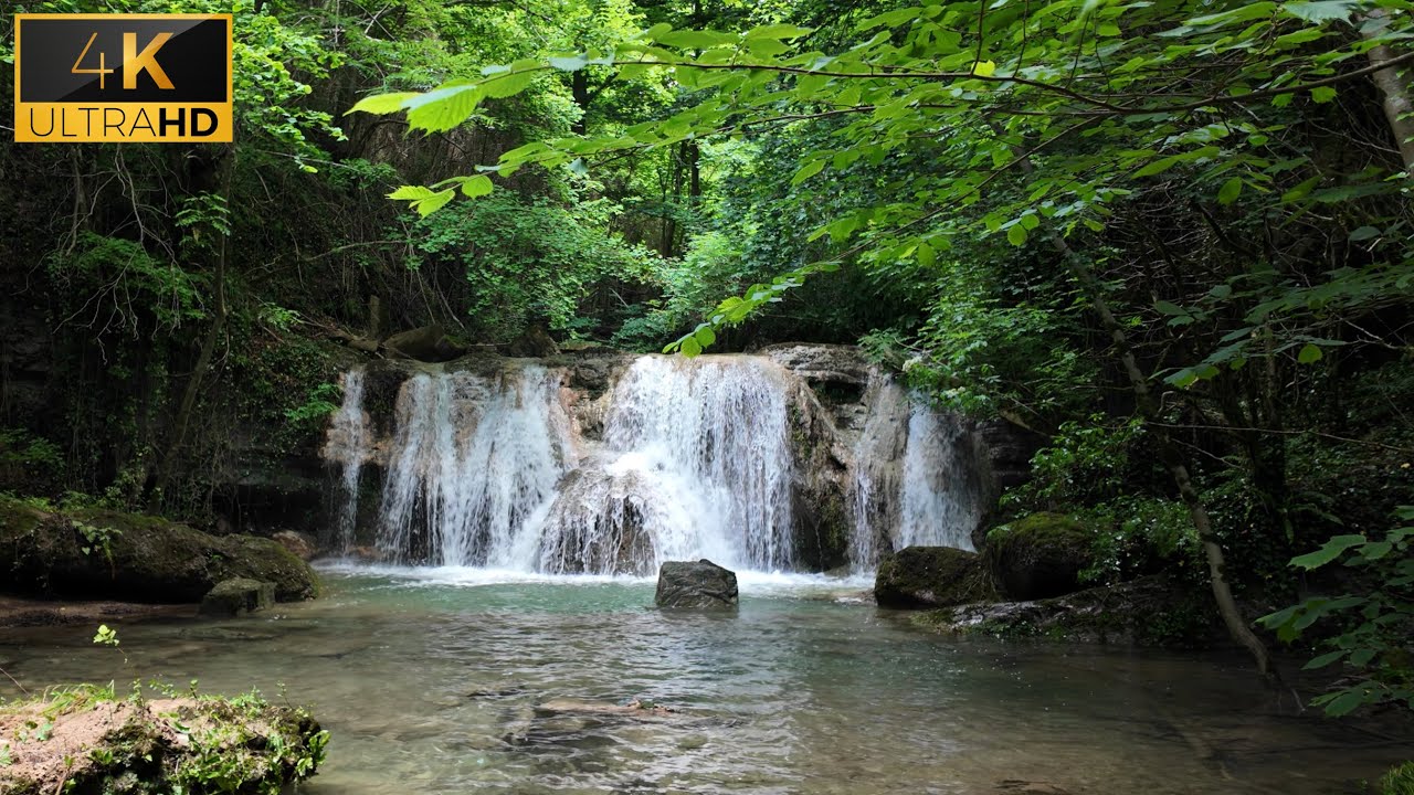 Aventura Natural en La Garrotxa: Ruta por el Río, Pozas y Cascadas. Senderismo.