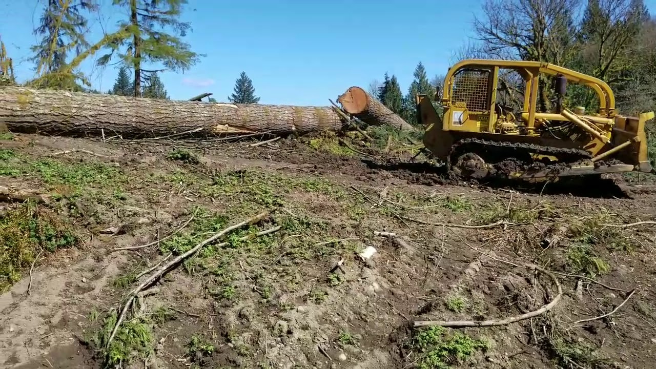 Logging Douglas Fir With Cat D4D