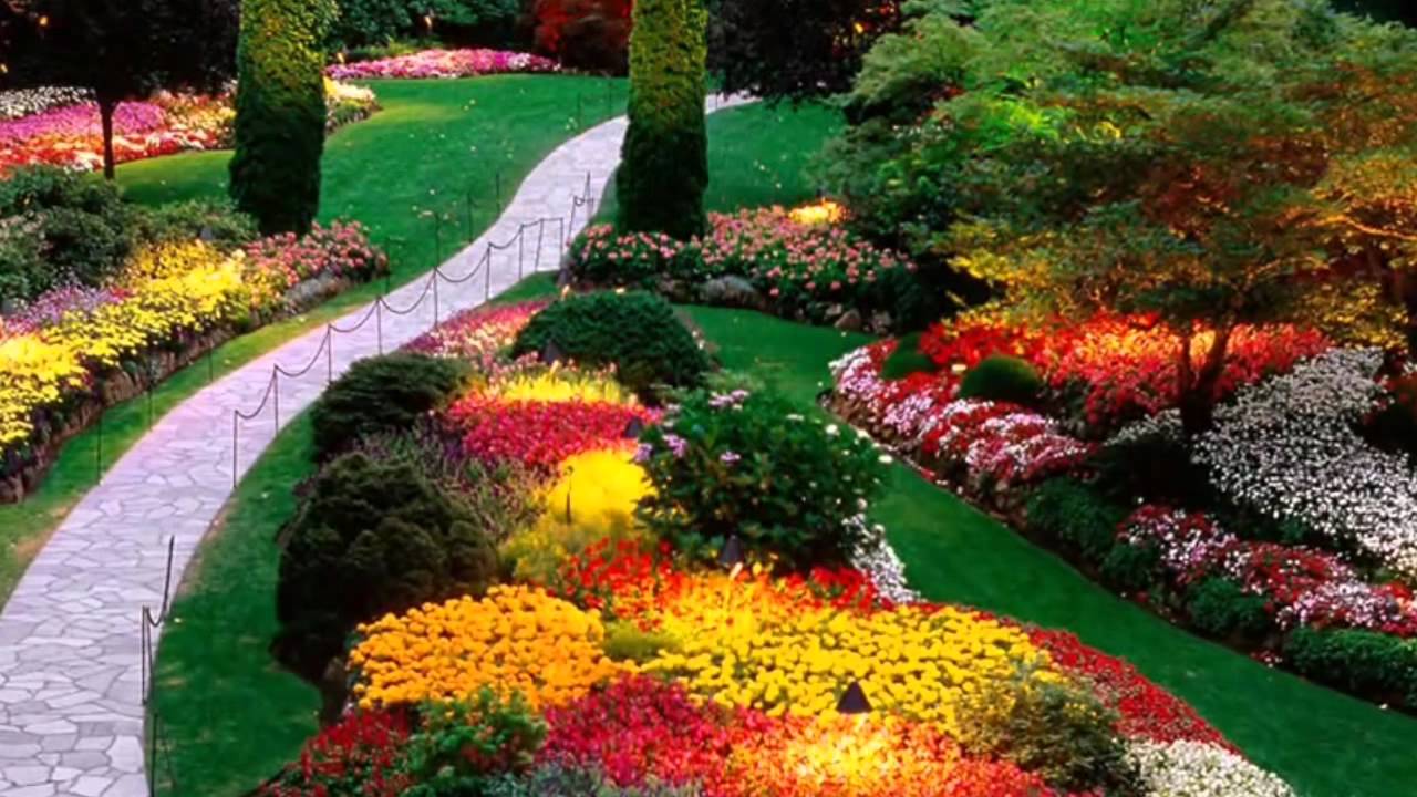 (HD 720p) When I Grow Too Old To Dream, Cliff Richard/Phil Coulter