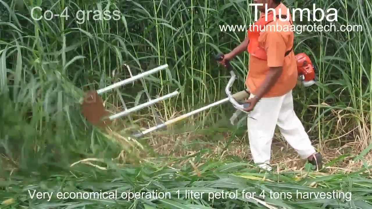 Brush Cutter Based Manual Fodder Harvester From Thumba Agro Tech - Palani