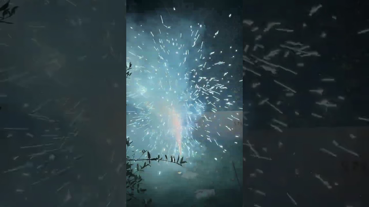 Fireworks in the garden Nov 2025.