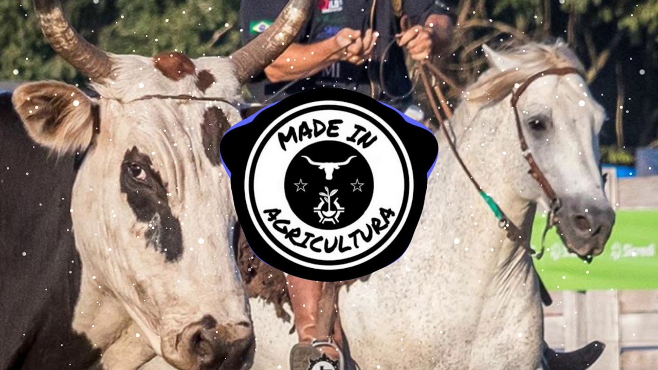 Paulinho Mocelin - Trof&eacute;u [STATUS] [MADE IN AGRICULTURA EDITION]