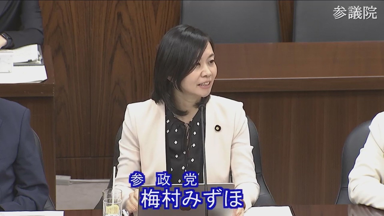 2026.07.03　沖縄・北方問題及び地方に関する特別委員会・参考人質疑　梅村みずほ