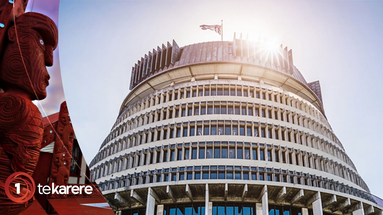 Political roundup with Te Okiwa McLean