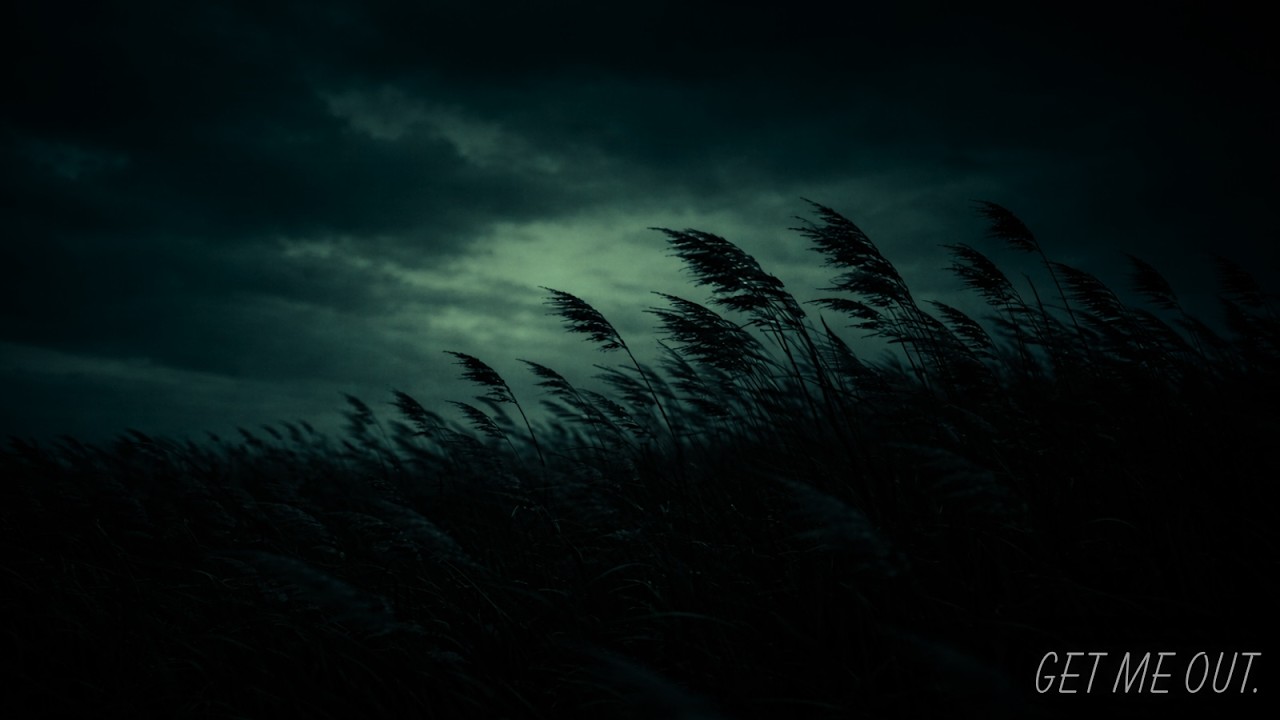POV: tonight you can finally rest