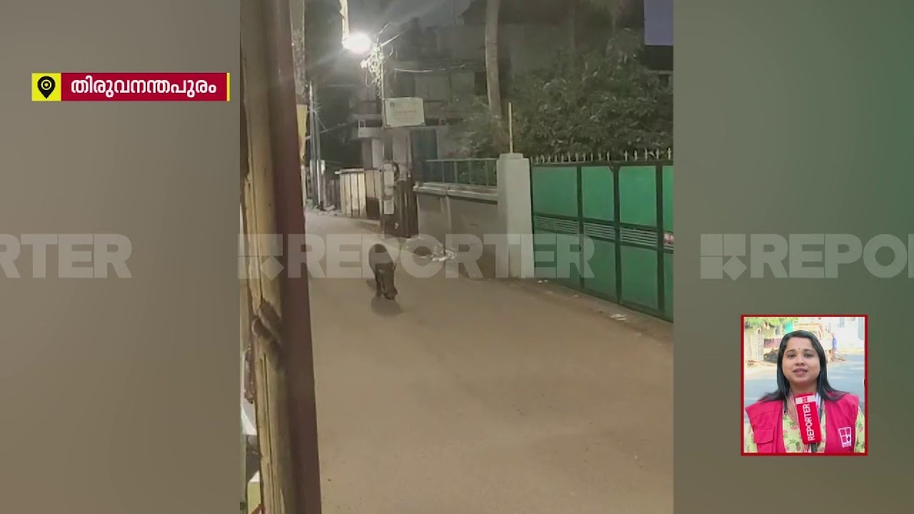 ഈ കാഴ്ച കണ്ട് തിരുവനന്തപുരം ന​ഗരത്തിലുള്ളവർ ഒന്ന് പകച്ചുകാണും | Wildlife