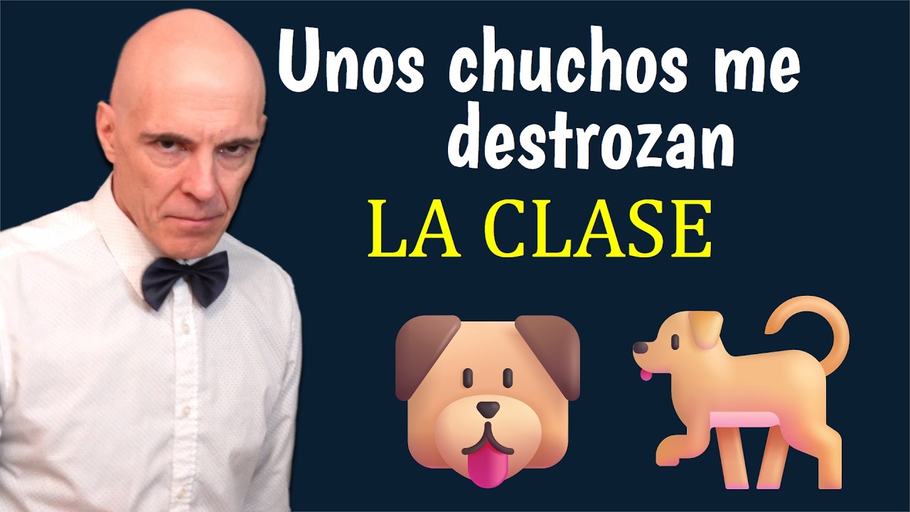 Unos perros me destrozan la clase😠