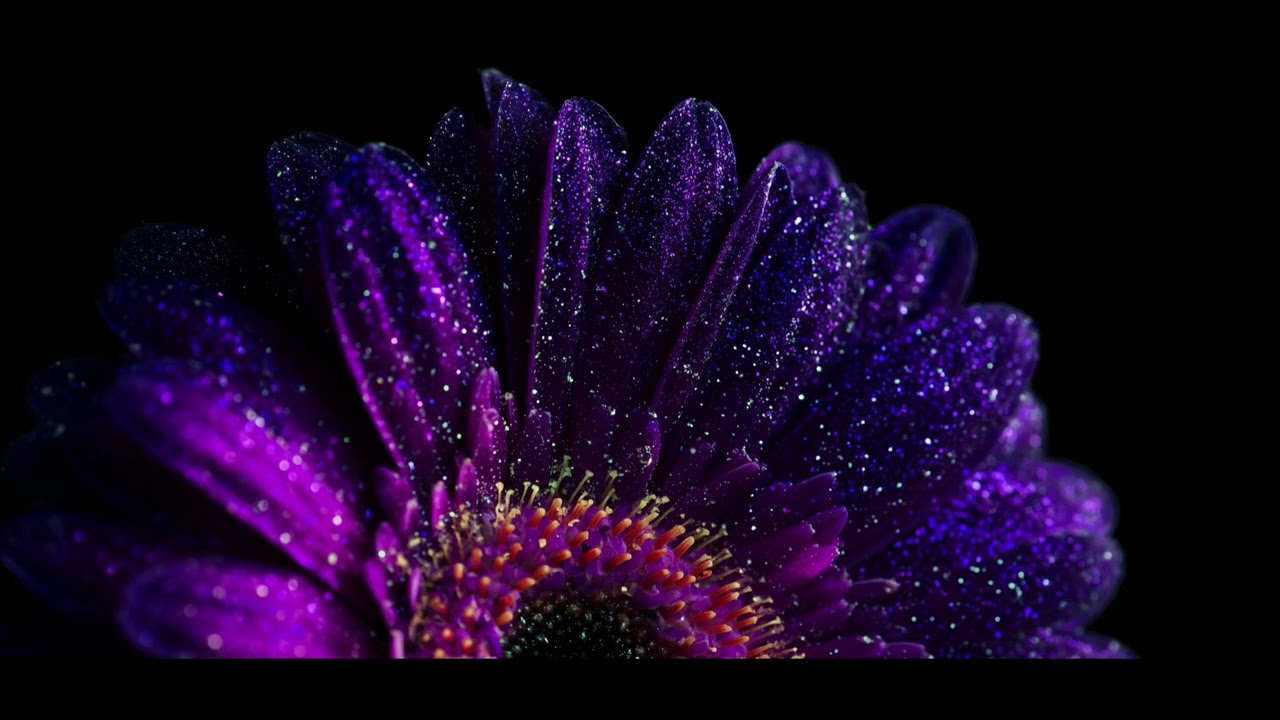 Wallpapers and background from TV and relax meditation music 