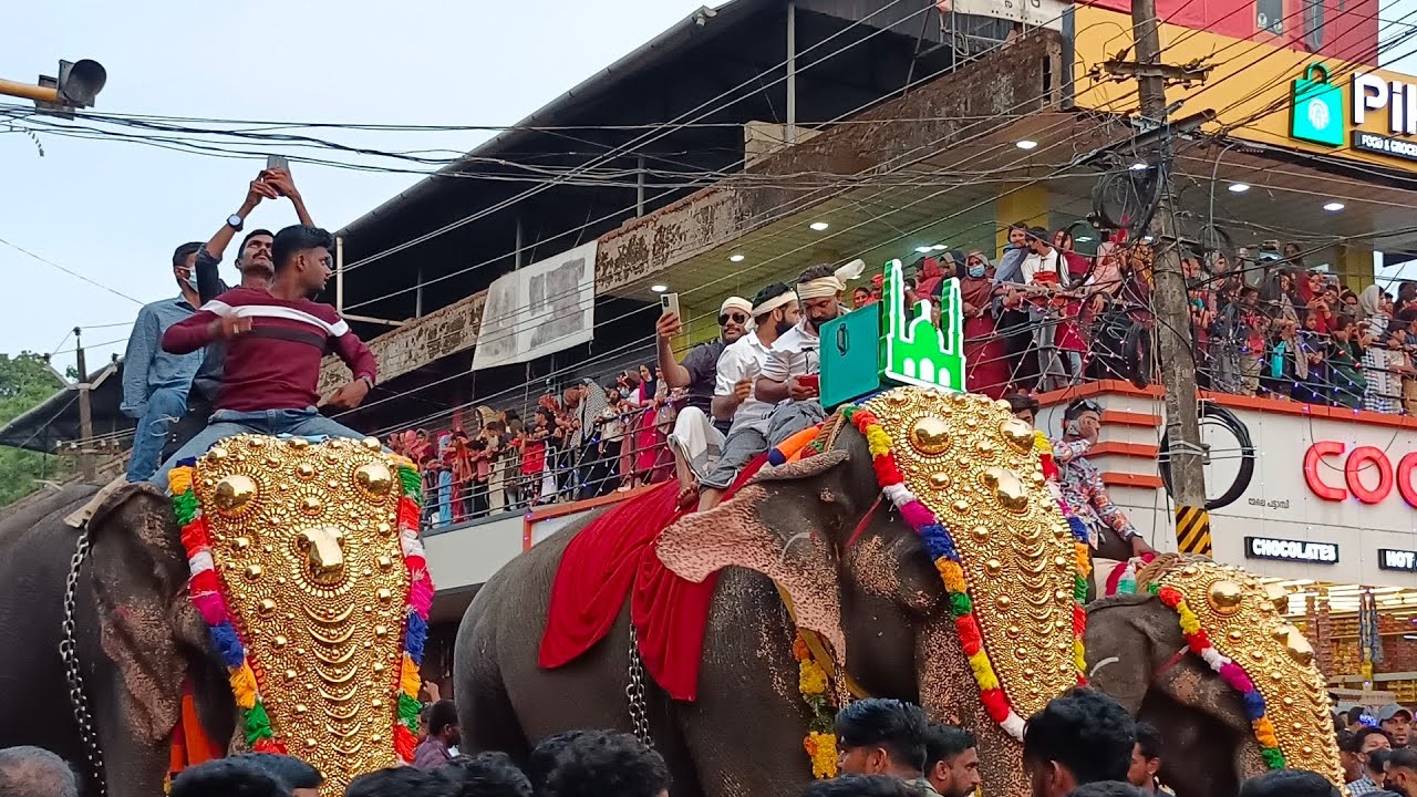 pattambi 108 nercha പട്ടാമ്പി 108 നേർച്ച