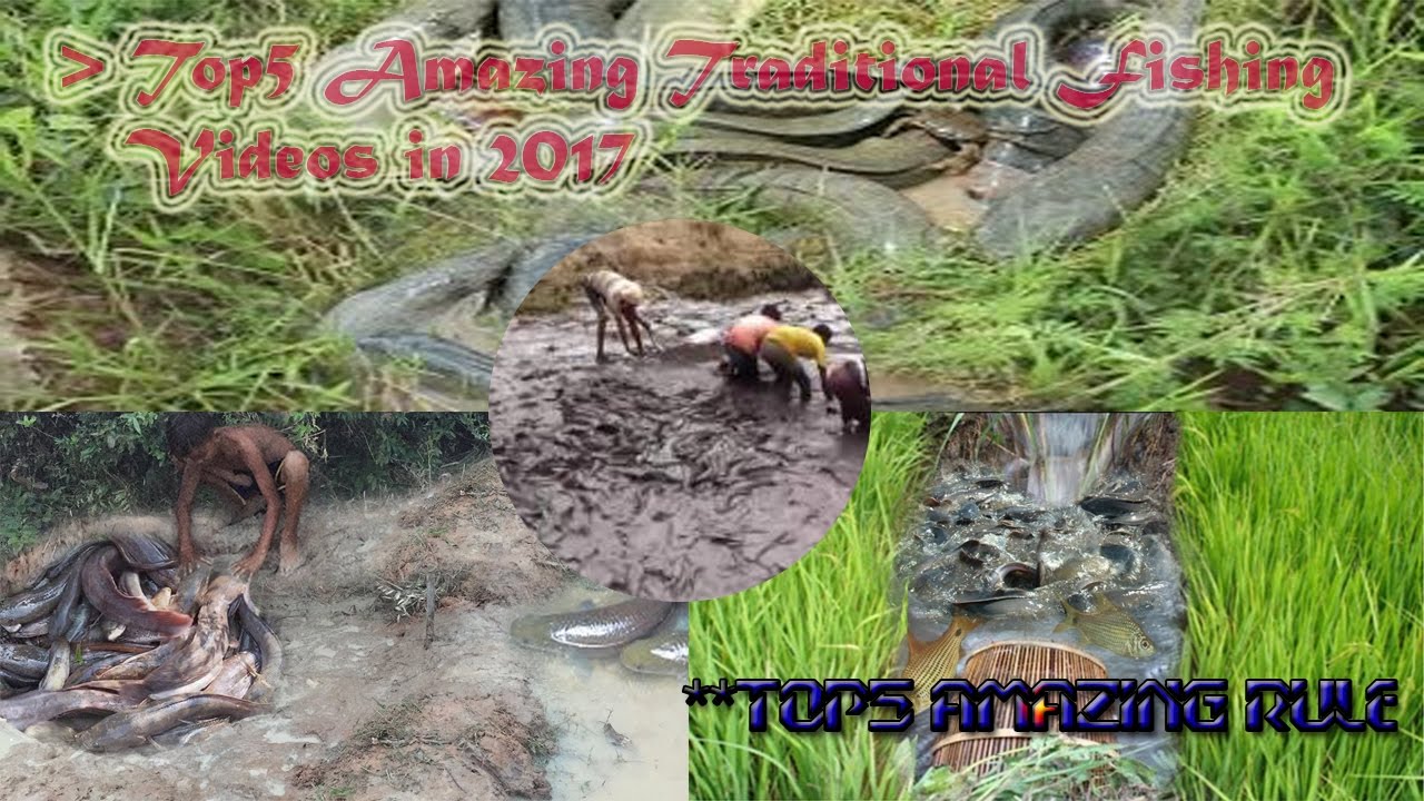 Top5 Amazing Traditional Fishing Videos in Cambodia-Net Fishing Video-Net fishing 2017 - Part 01