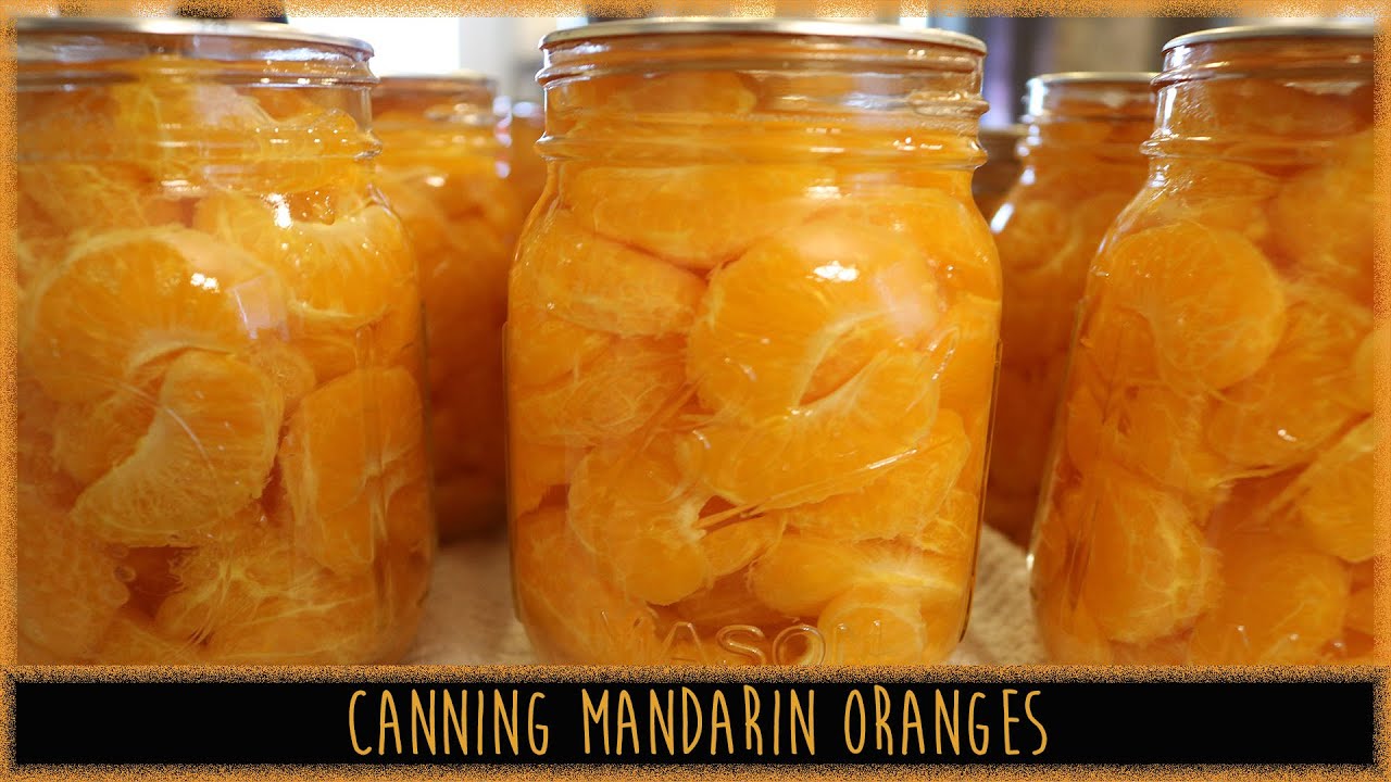 CANNING MANDARIN ORANGES | WELCOME TO THE DEN |