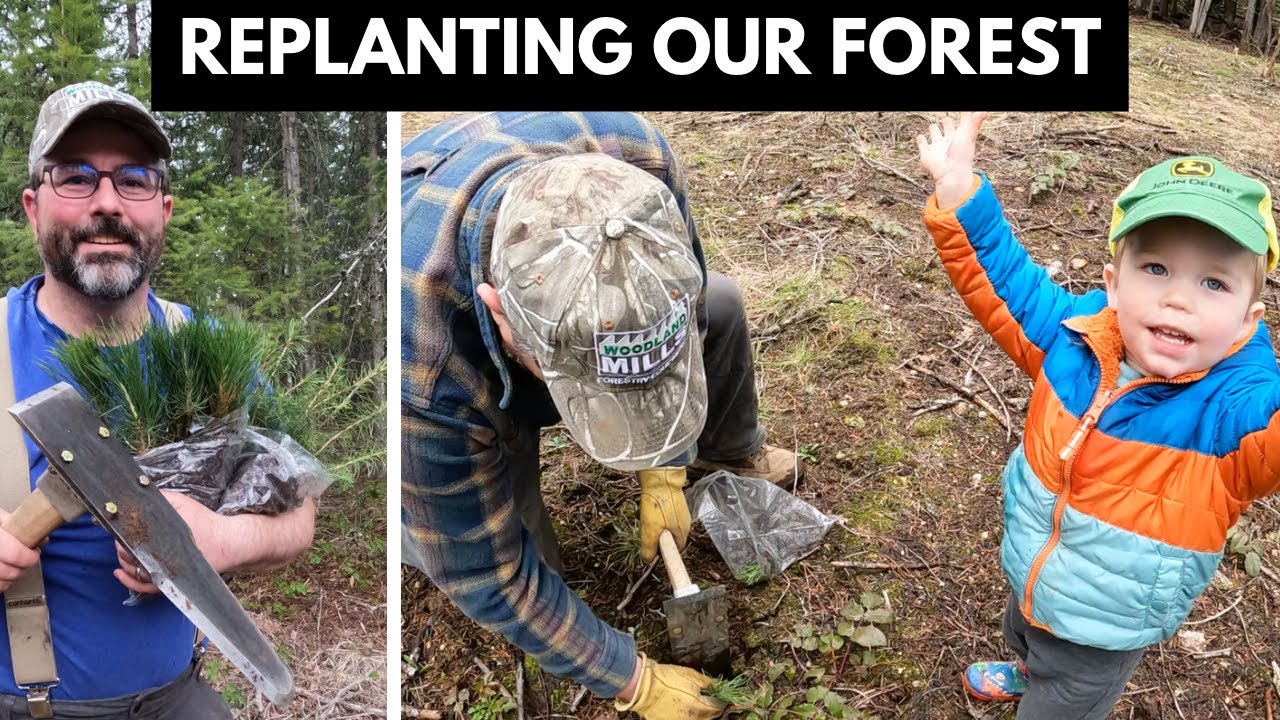 HOW To Plant TREES - Creating EARTH DAY Traditions  By Planting Trees On Our Property  - Giving Back