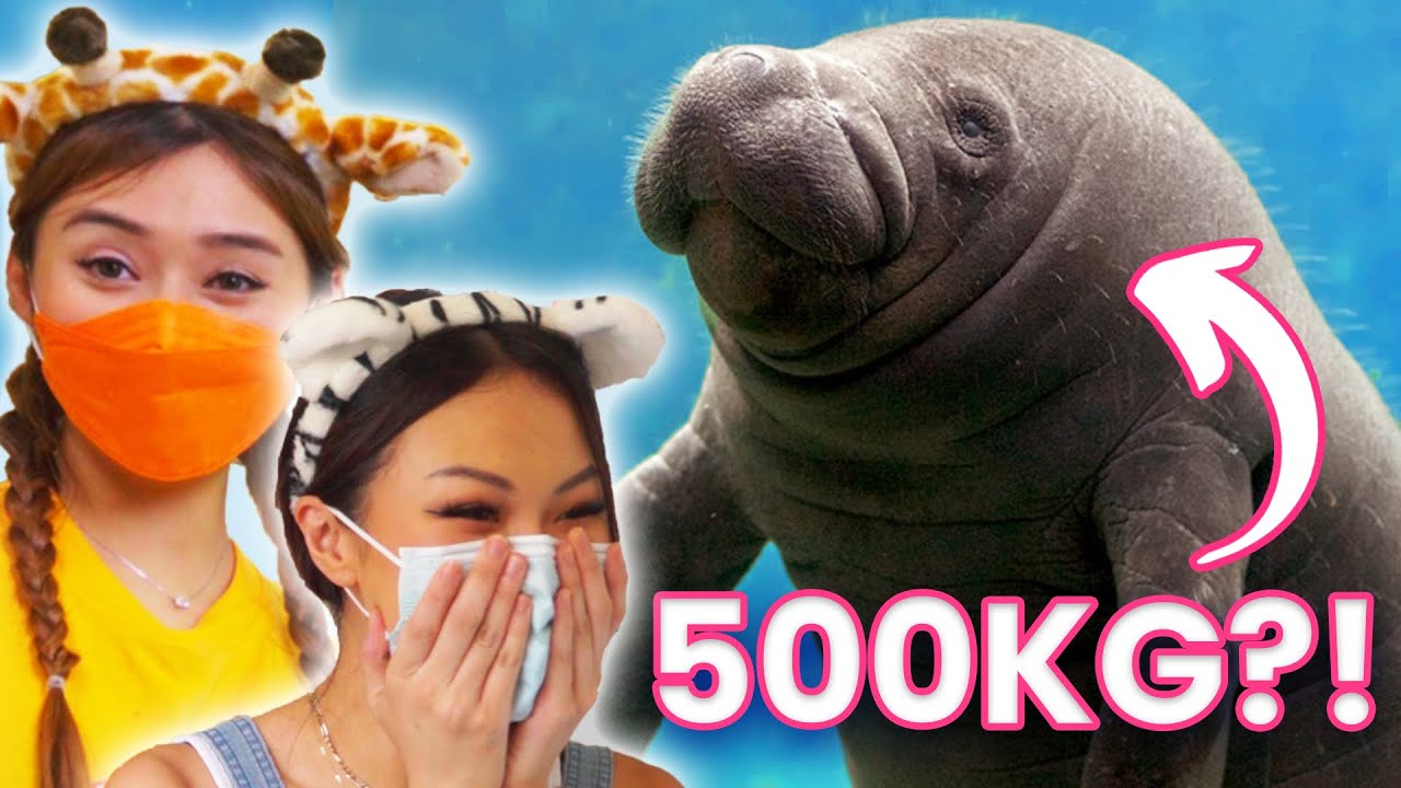 We Worked At The Zoo For A Day!