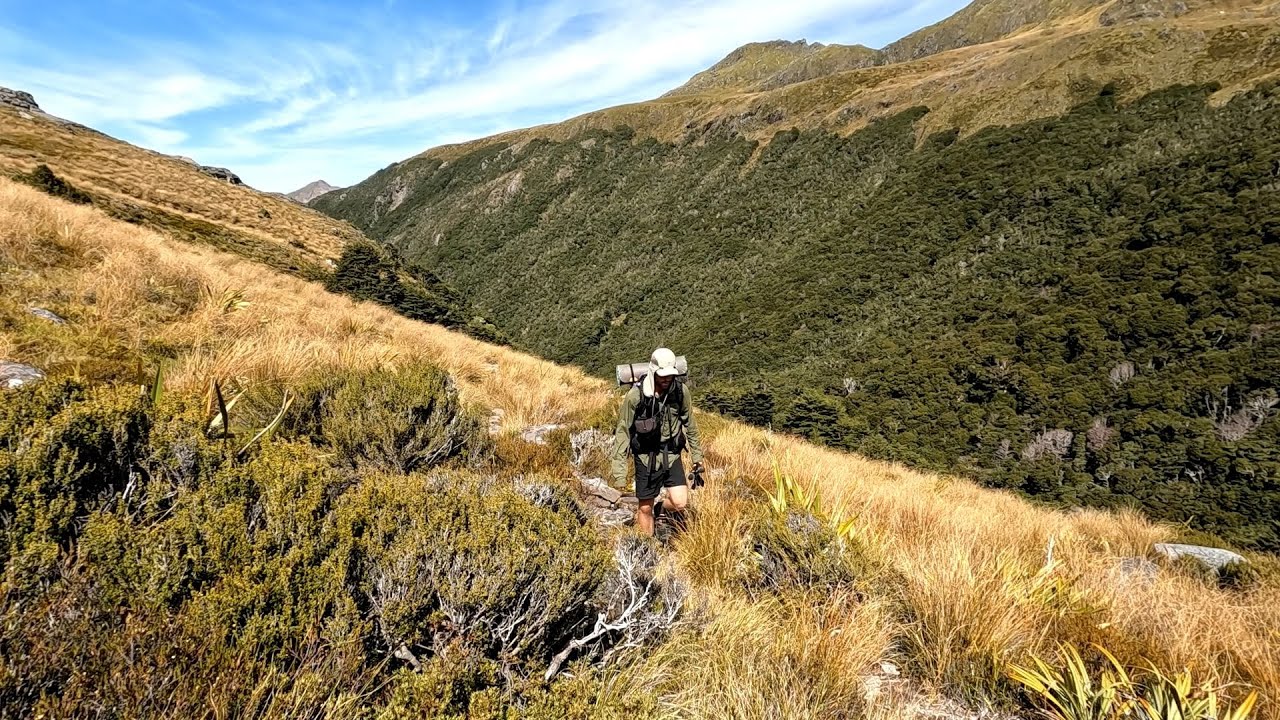 Hiking the Cobb Valley - Overnight to Fenella Hut, Kahurangi National Park