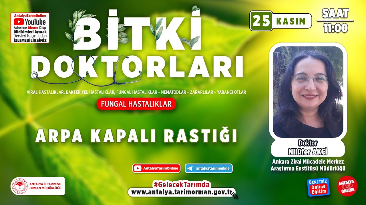 Bitki Doktorları 115-  Arpa Kapalı Rastığı