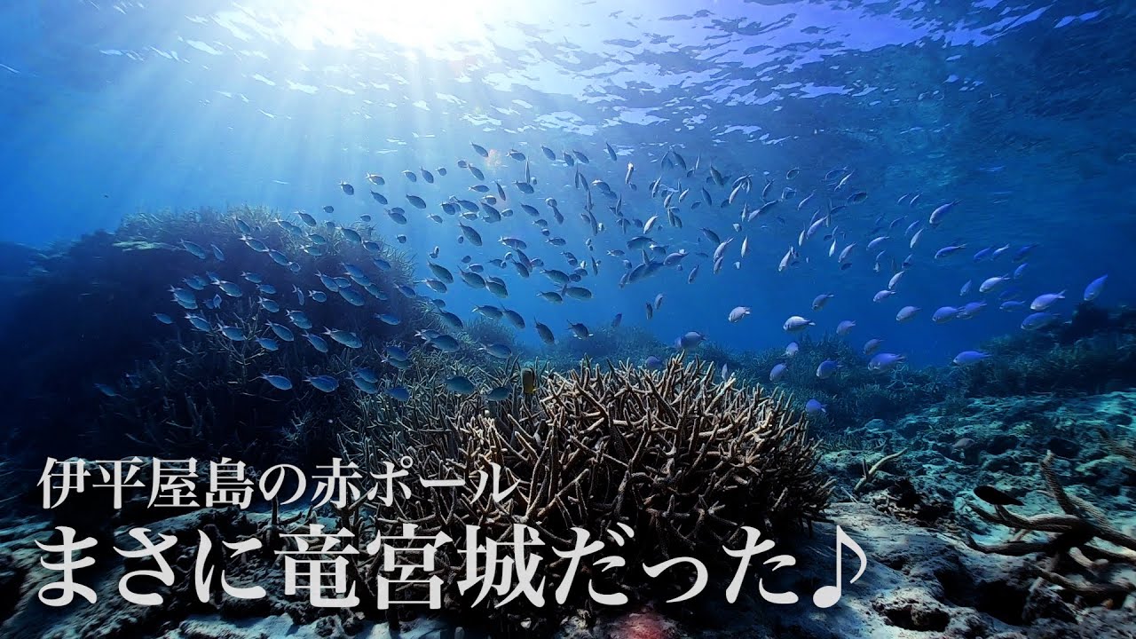 伊平屋島（沖縄）の絶景穴場スポット赤ポールでシュノーケリングしてみた