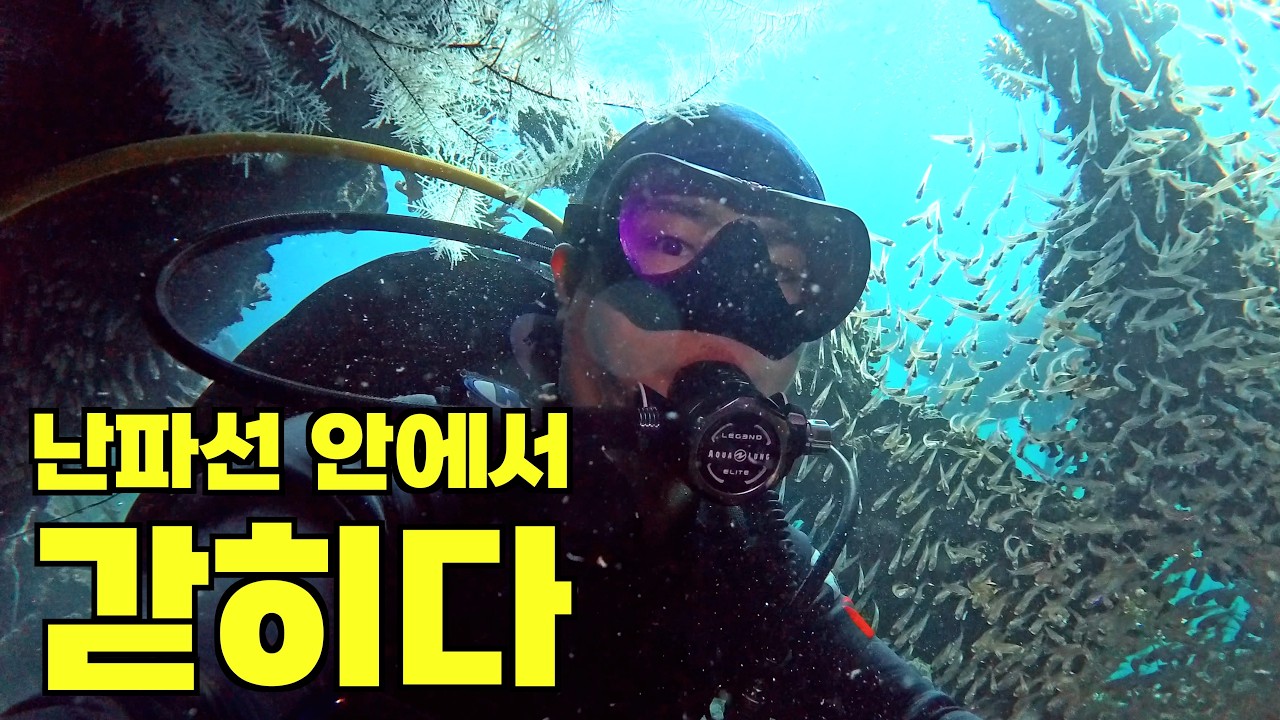 한국인보다 유럽인이 많은 다이빙 성지, 필리핀 코론 난파선 탐험