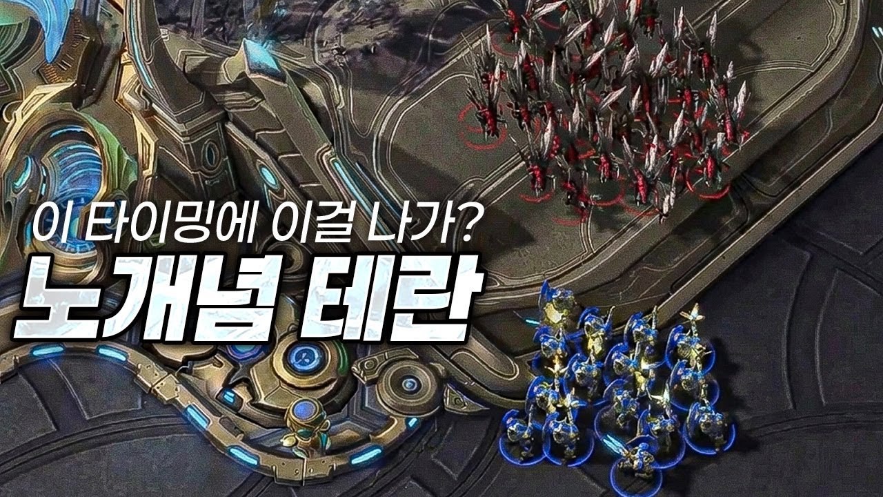 노개념 테란