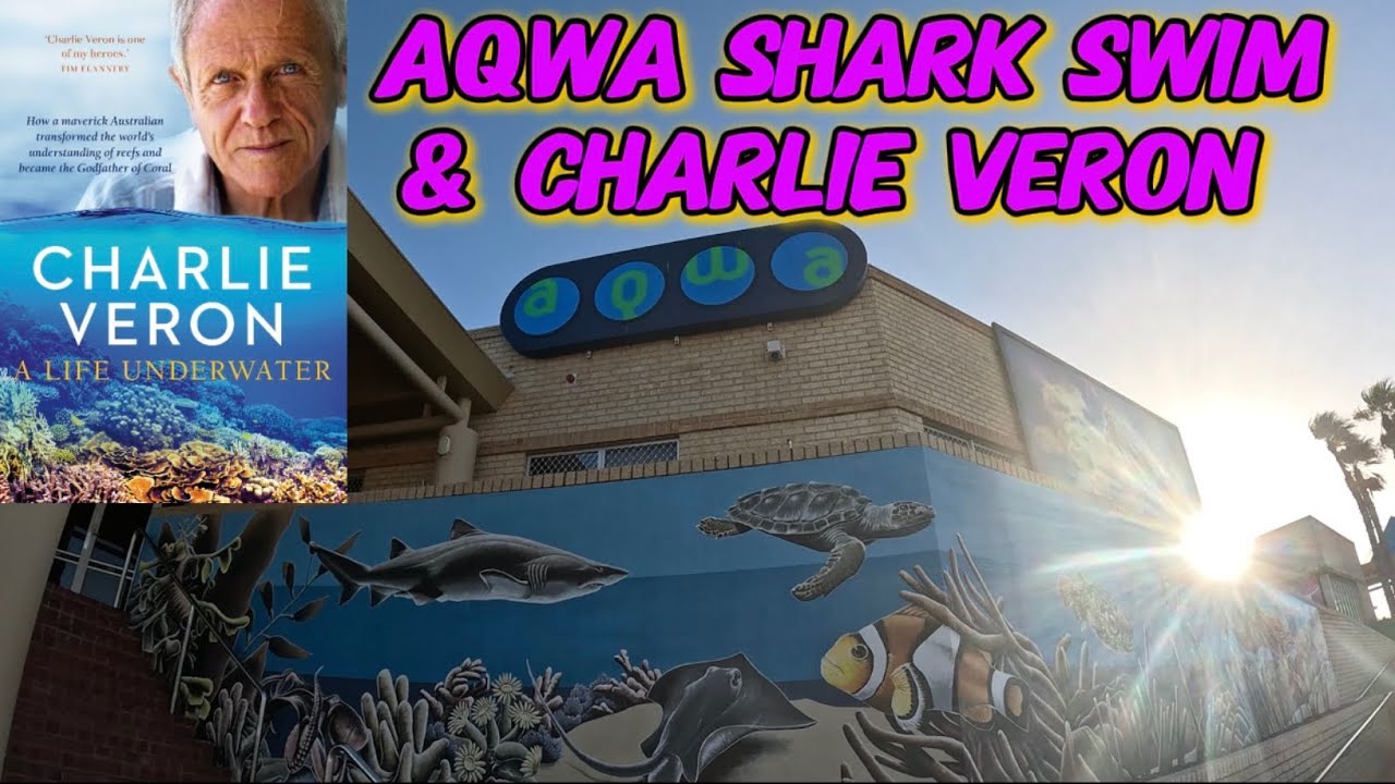 AQWA | SHARK SWIM & Dr CHARLIE VERON