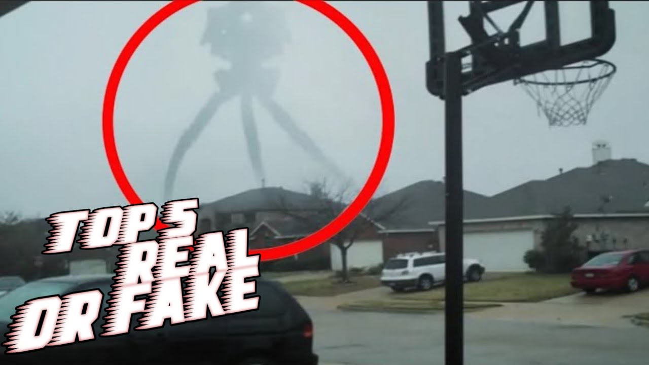 5 Tripods Haedcrab Caught on Camera in real life