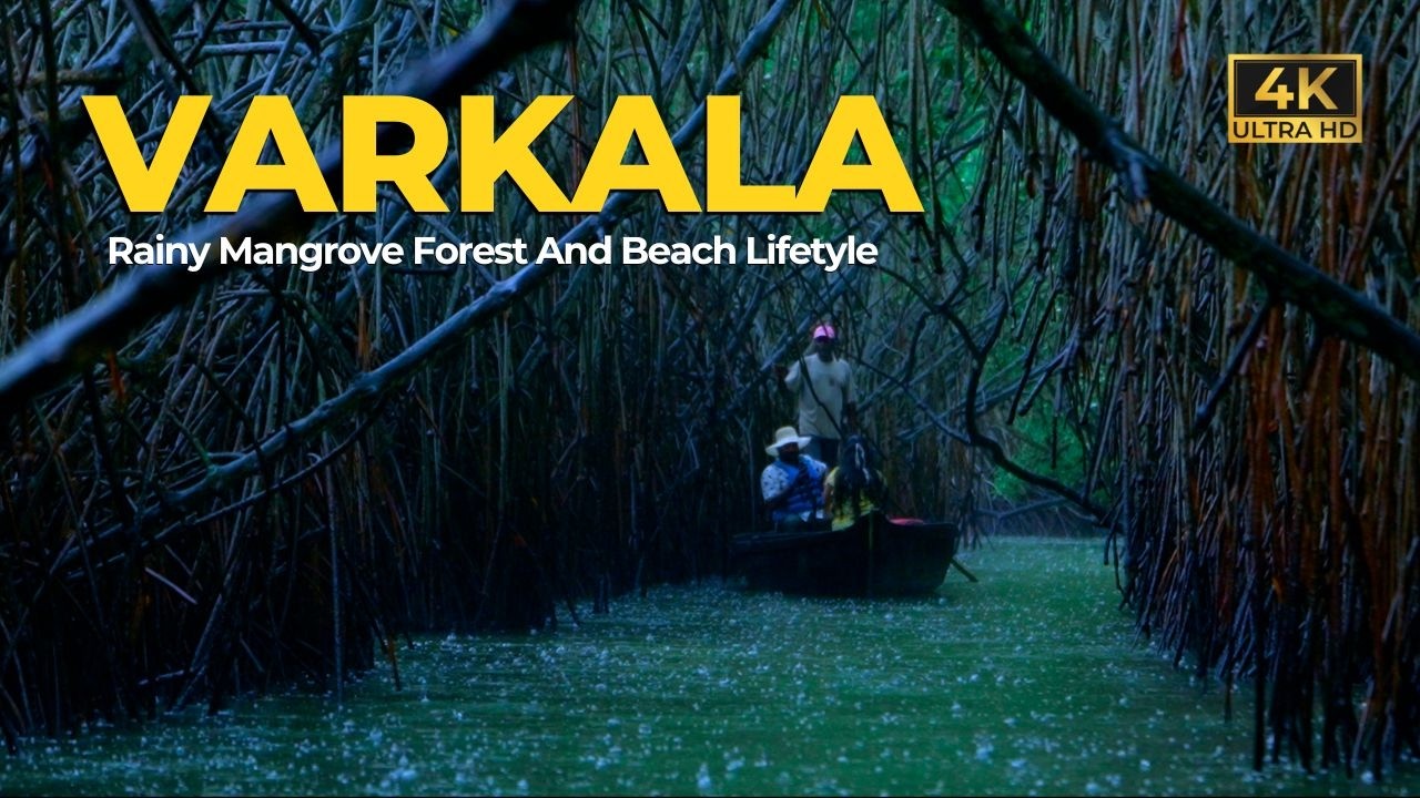 Varkala | Rainy Mangrove Forest | Beach | Nightlife | Monsoon Season