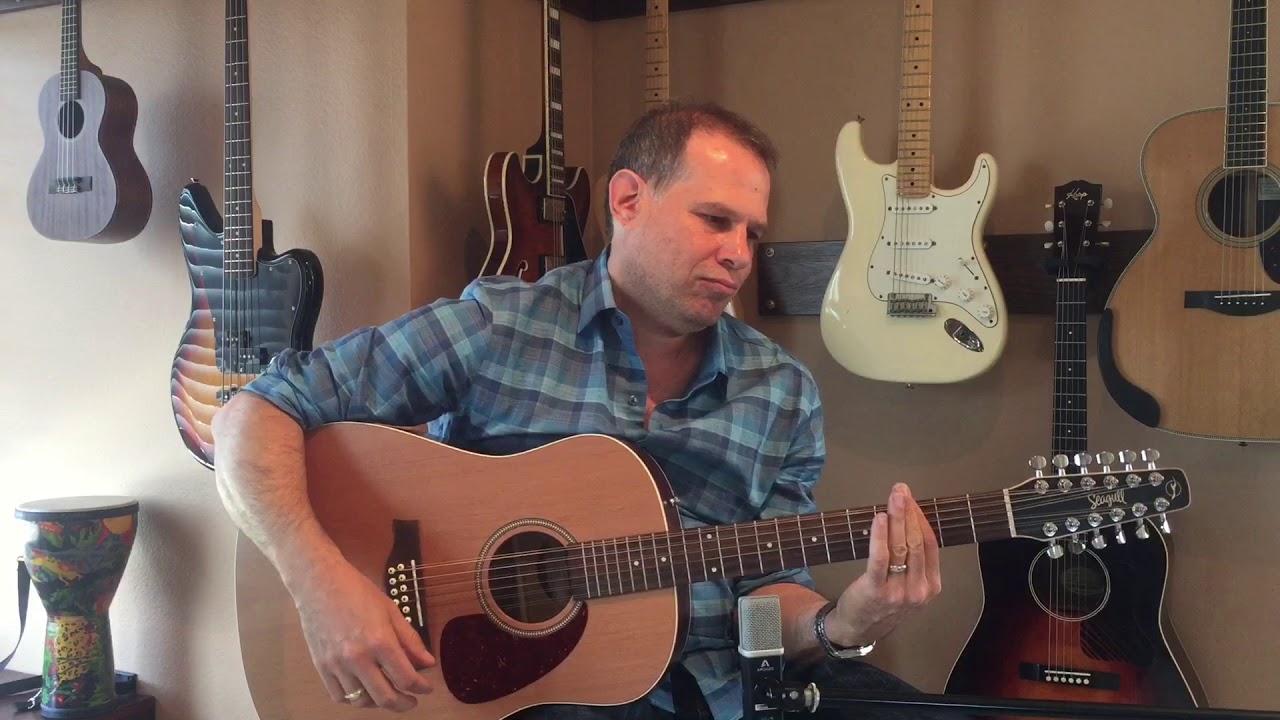Seagull Coastline  Cedar 12 String - guitar composition