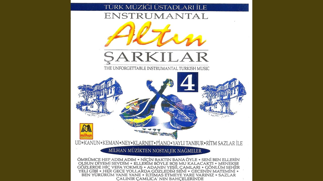 Seni Ben Ellerin Olsun Diye mi Sevdim