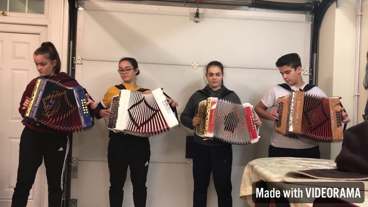 Como tocar UM VIRA na concertina