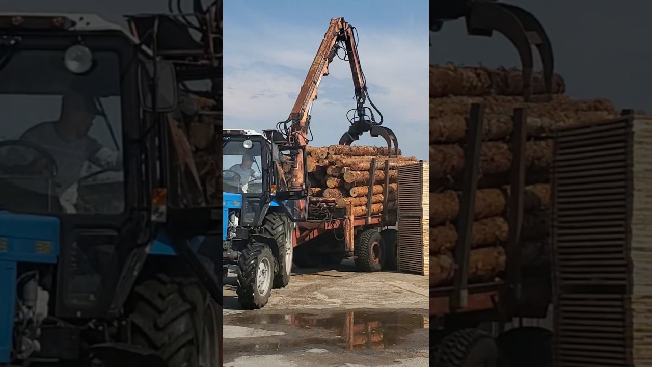 Tractor with trailer + forest with crane❗️#automobile #mud #tractor #big cars #timber truck