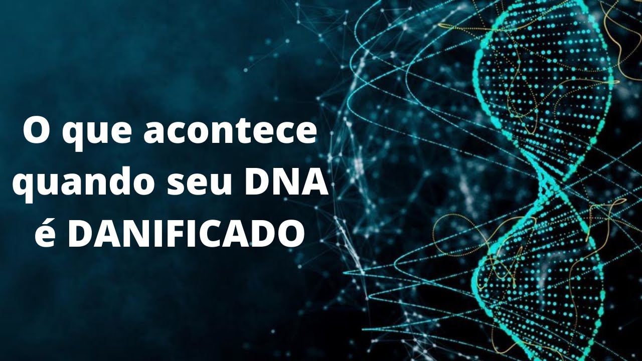 O INCRÍVEL sistema de REPARO de DNA