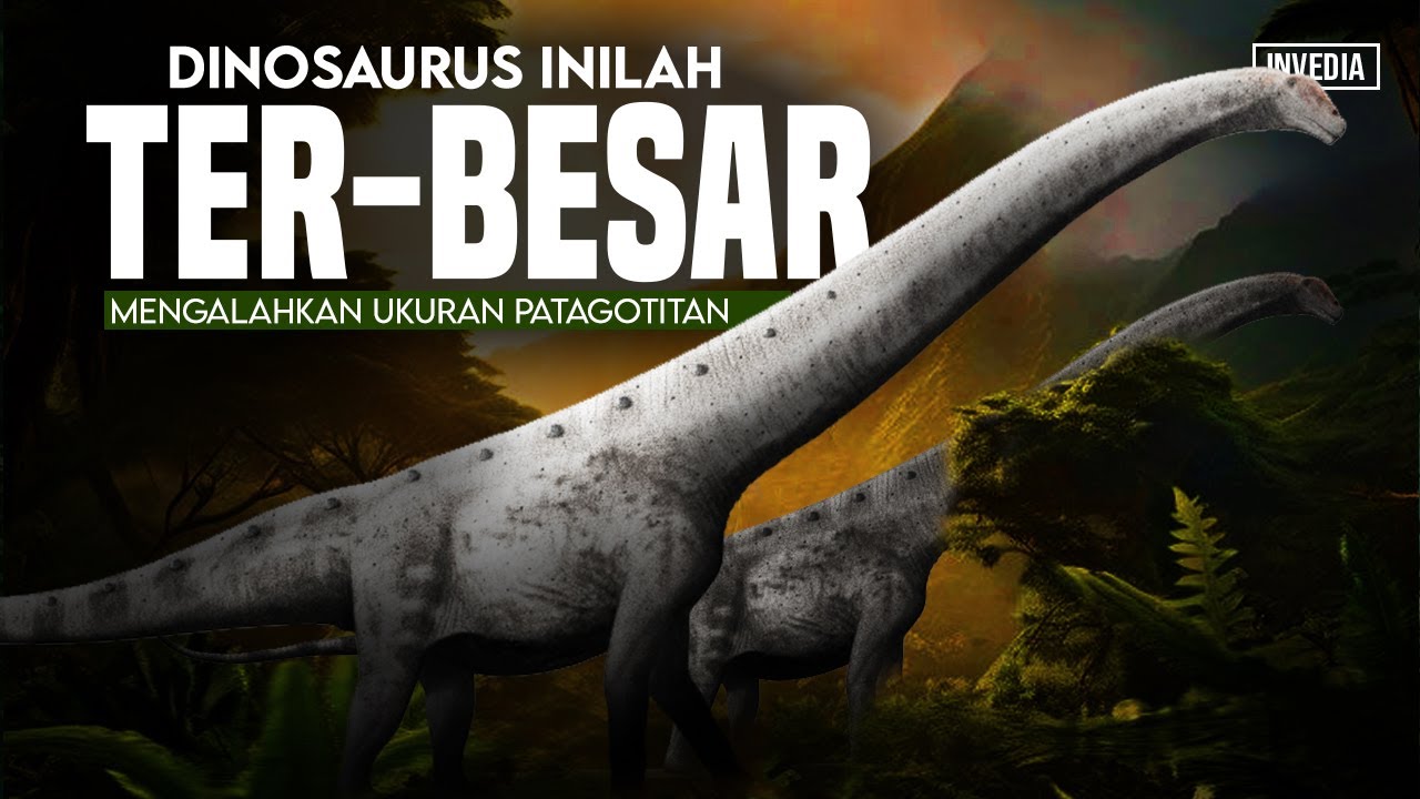 Inilah Dinosaurus Terbesar - Mengalahkan Ukuran Patagotitan Mayorum (Argentinosaurus)
