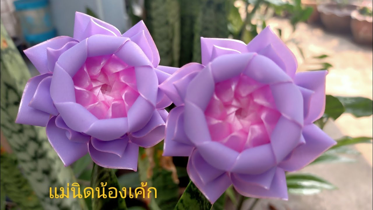 วิธีพับเหรียญโปรยทาน ดอกบัว จันทร์เจ้าขา 🎗️🎂แม่นิดน้องเค้ก