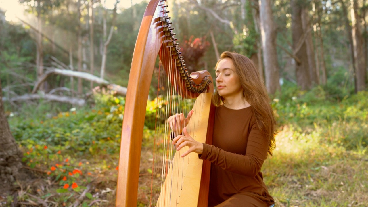 Peaceful Harp in the Eucalyptus Forest (1 Hour) | Sarah Bhalla