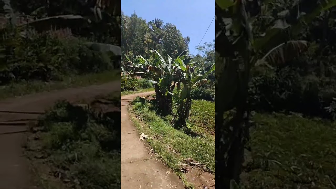 NANJAK KE KAMPUNG PAMUGARAN,LANJUT KE WADUK DARMA #kuningan #jawabarat #Indonesia 