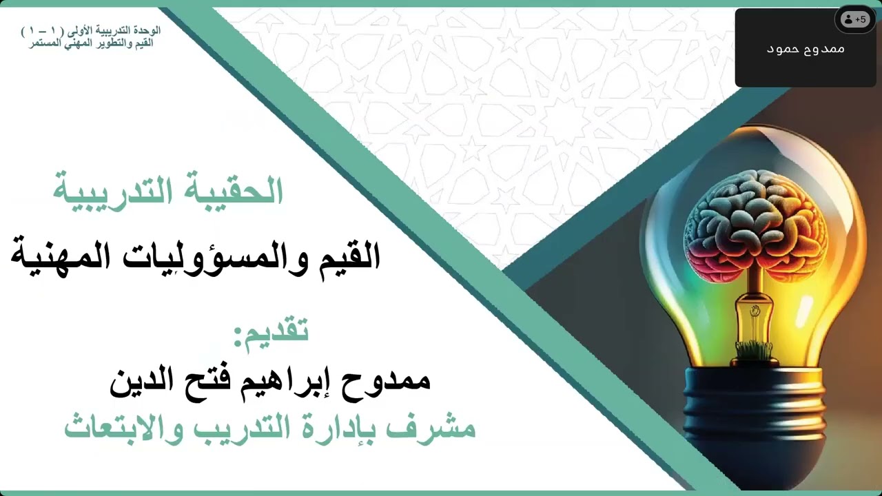 القيم والمسؤوليات المهنية