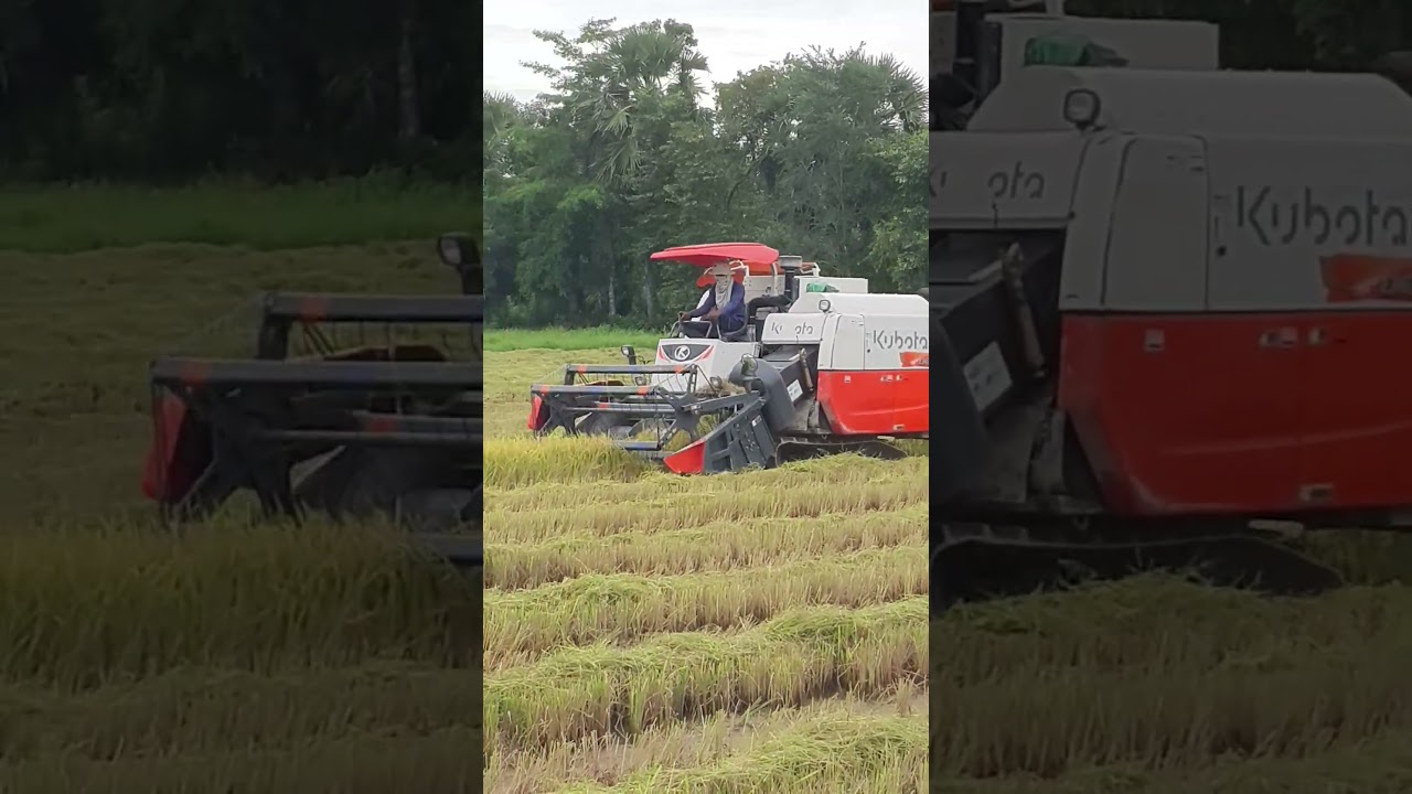 KUBOTA DC 70 PLUS HARVESTER #harvester #machine #automobile #farmequipment #farming #farmmachinery