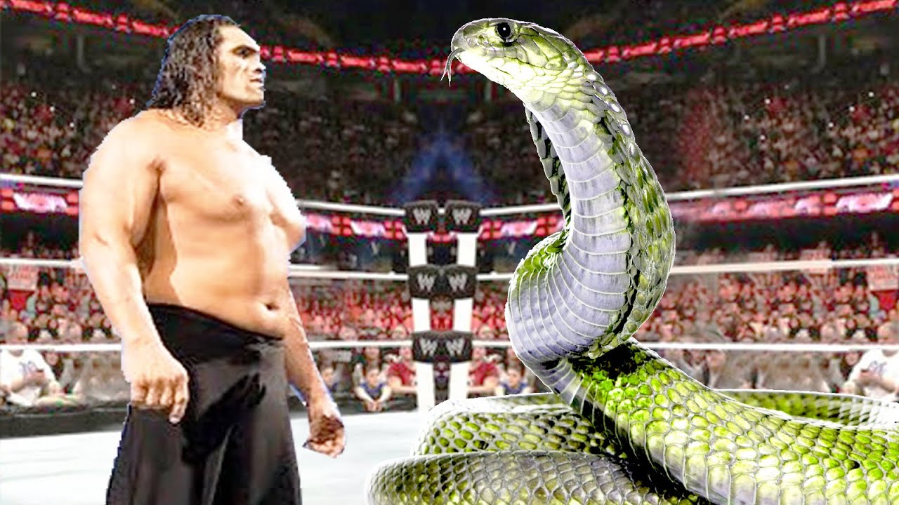 The Great Khali vs Snake - Iron Man Match