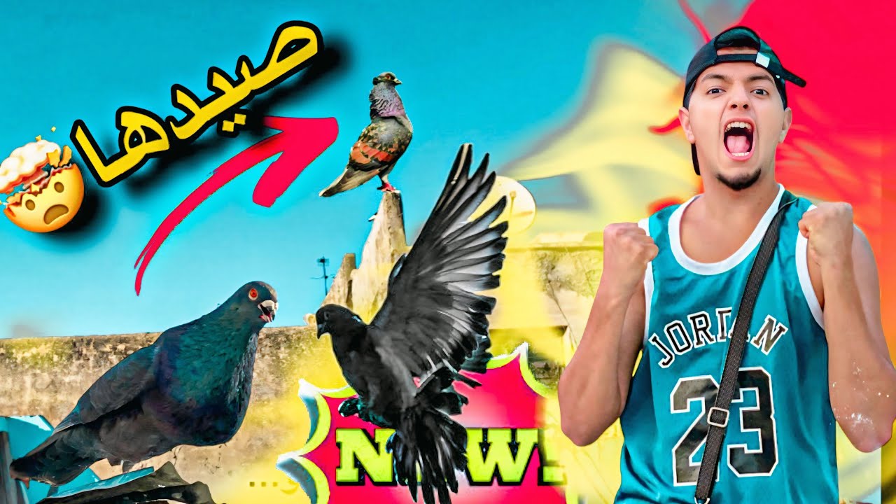 طلقت الحمام يطيروا وكحلوس جاب لي حمامة جديدة 😂 شنو نوع ديال هد الحمامة 🤔…