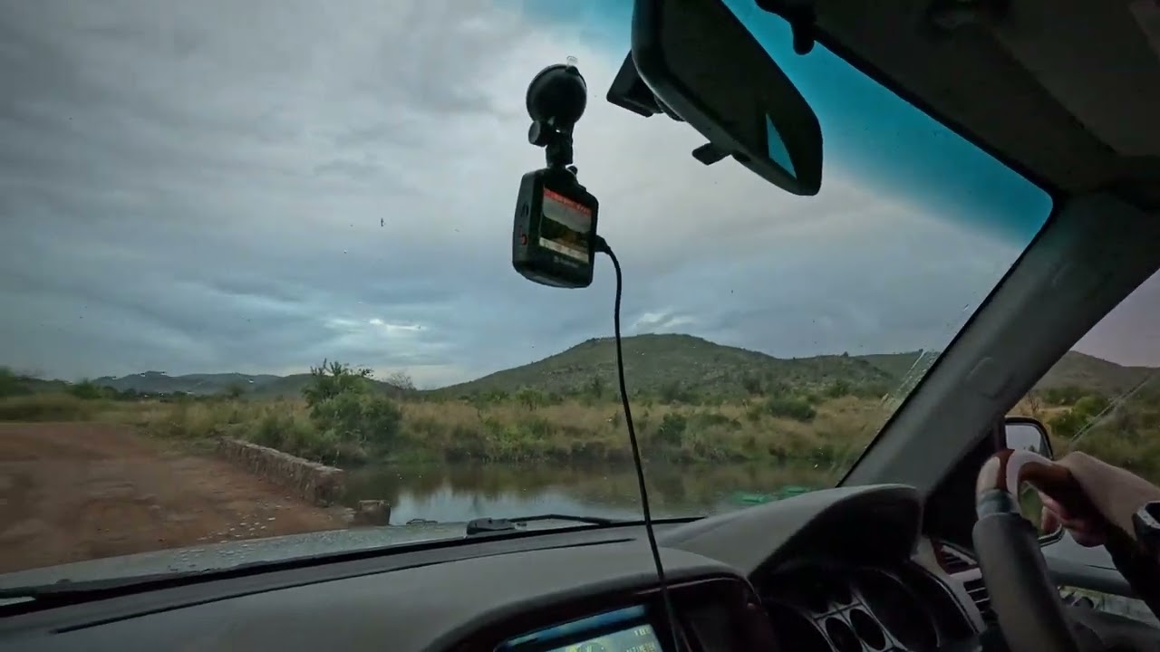 Sunrise Safari - Johannesburg to Pilanesberg. South Africa 